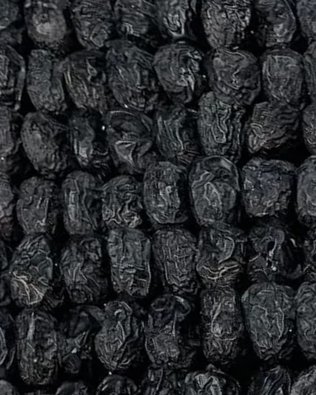 حبات عجوة المدينة الملكي الكبيرة مصفوفة صفوفا