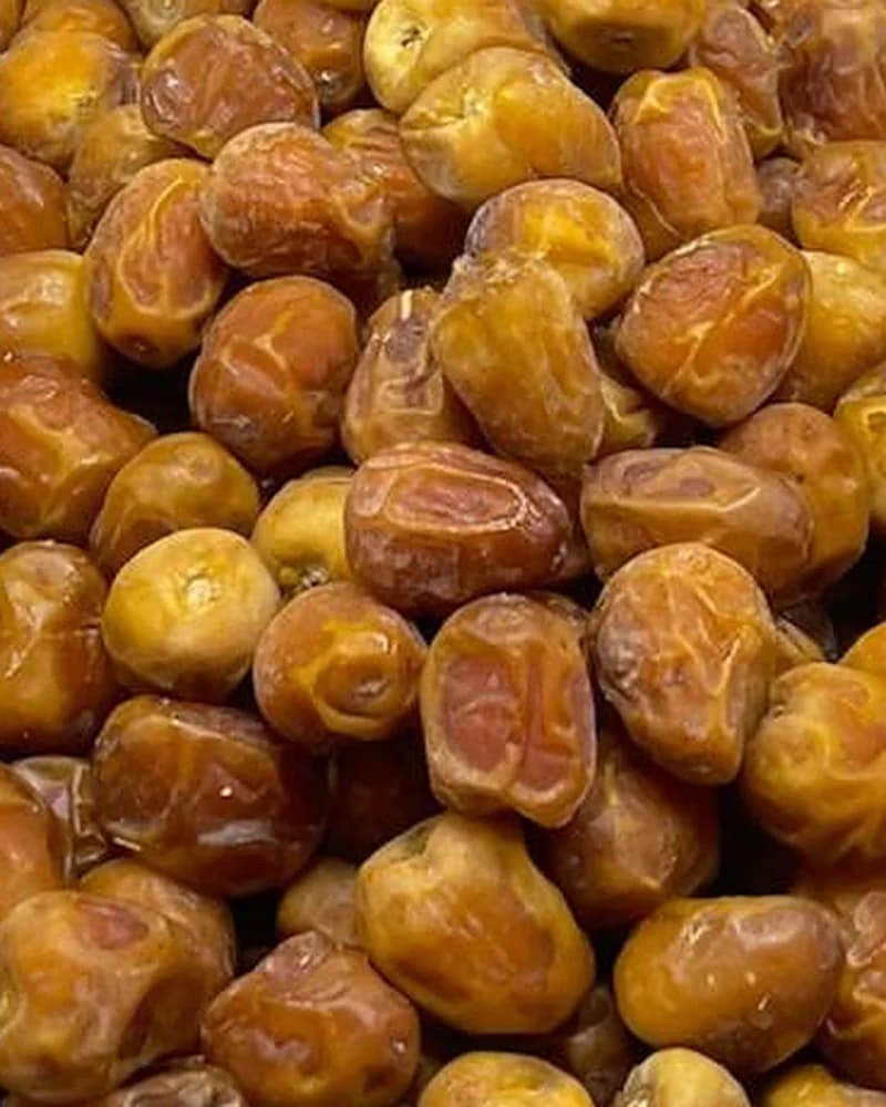 حبات السكري الجالكسي اليومي عن قرب