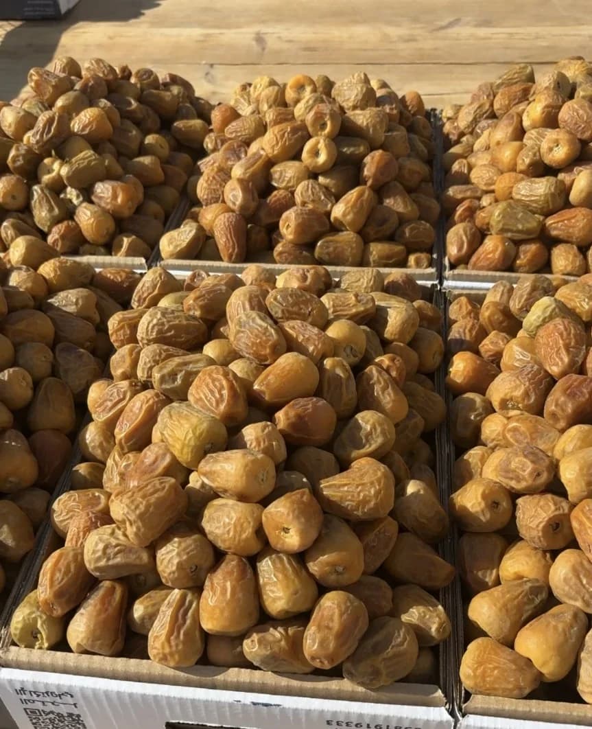 سوق التمور في القصيم