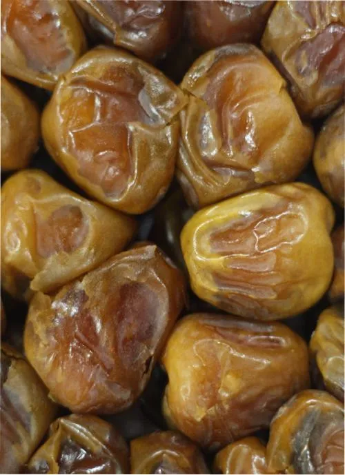 حبات تمر سكري